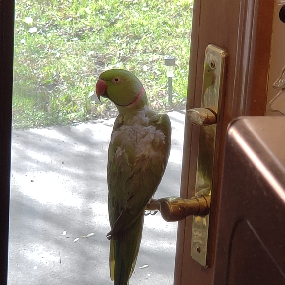 Meet your Posher, Nikki - Picture 8 of 8